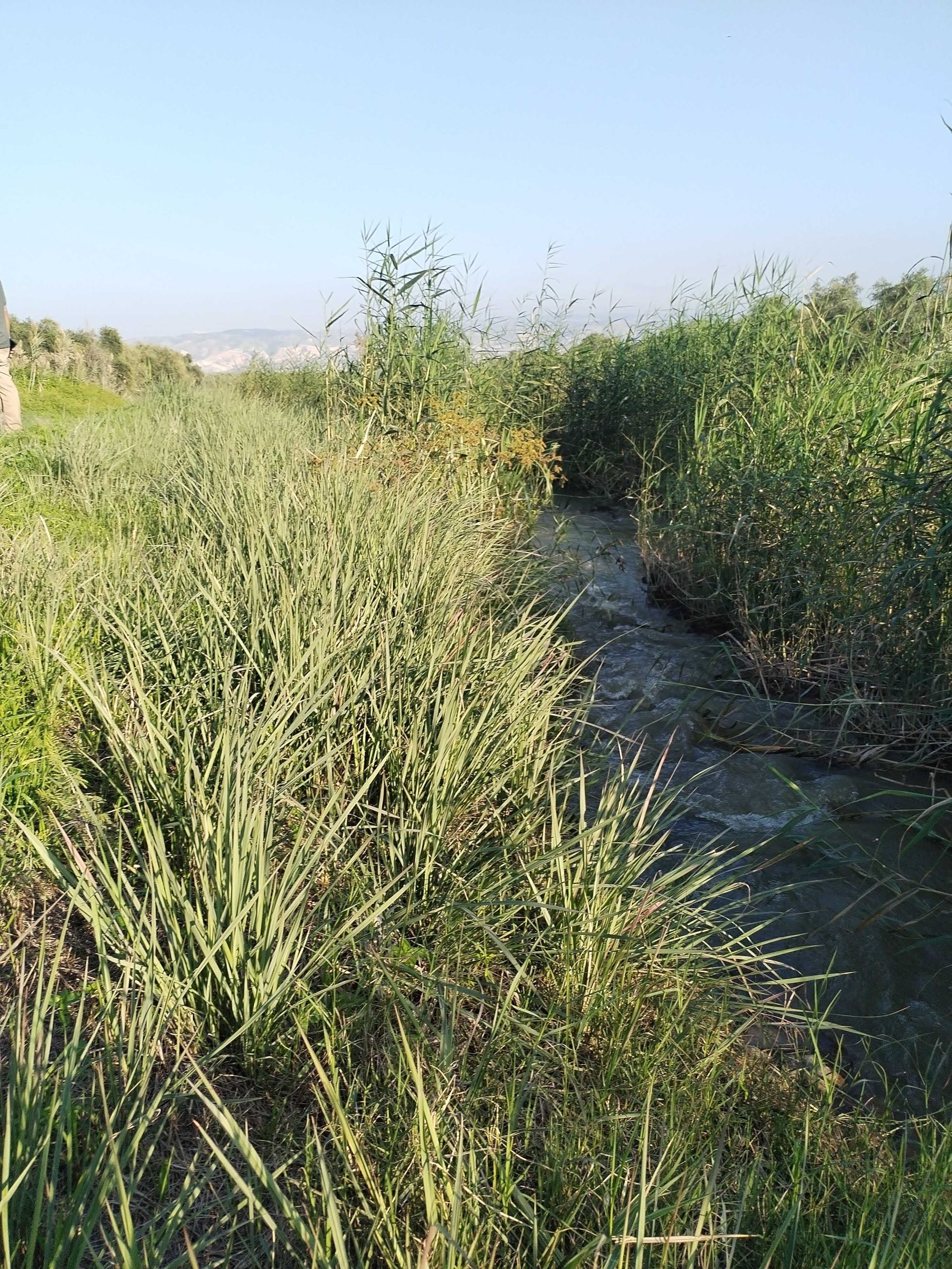 תכנית המים לעמק המעיינות